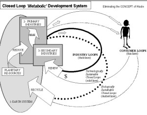 closedloopmetabolicsystem